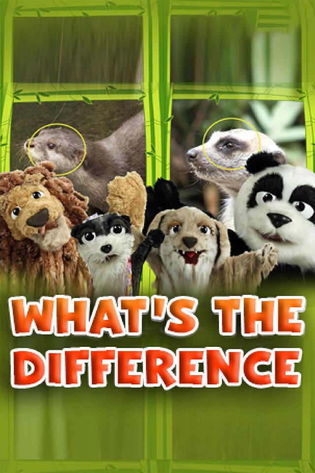 What's the Difference? poster