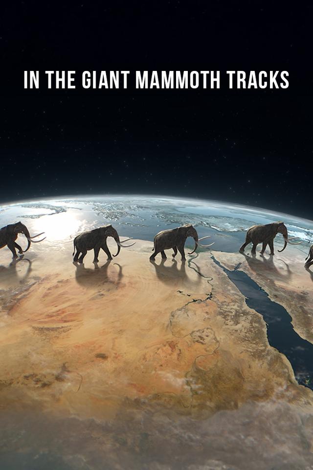 In The Giant Mammoth Tracks poster