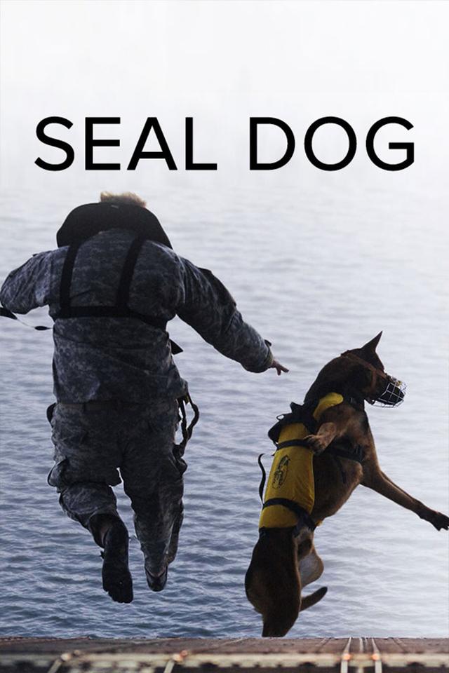 SEAL Dog poster