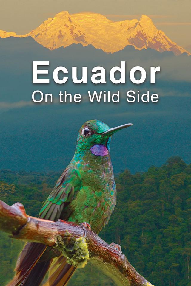 Ecuador On The Wild Side