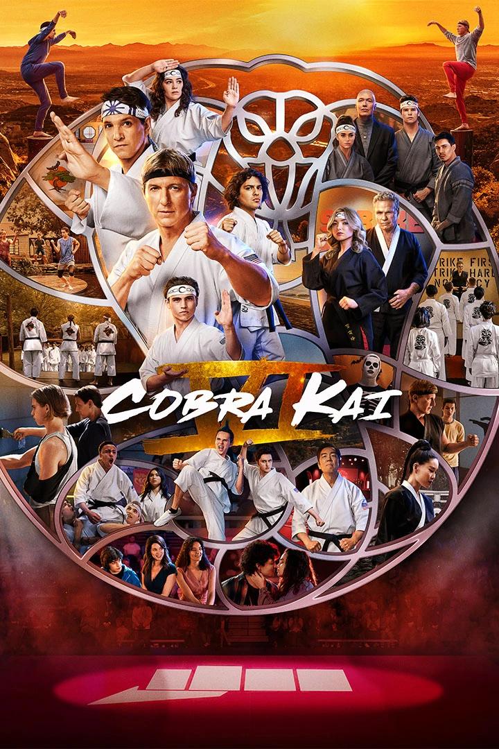 Cobra Kai poster