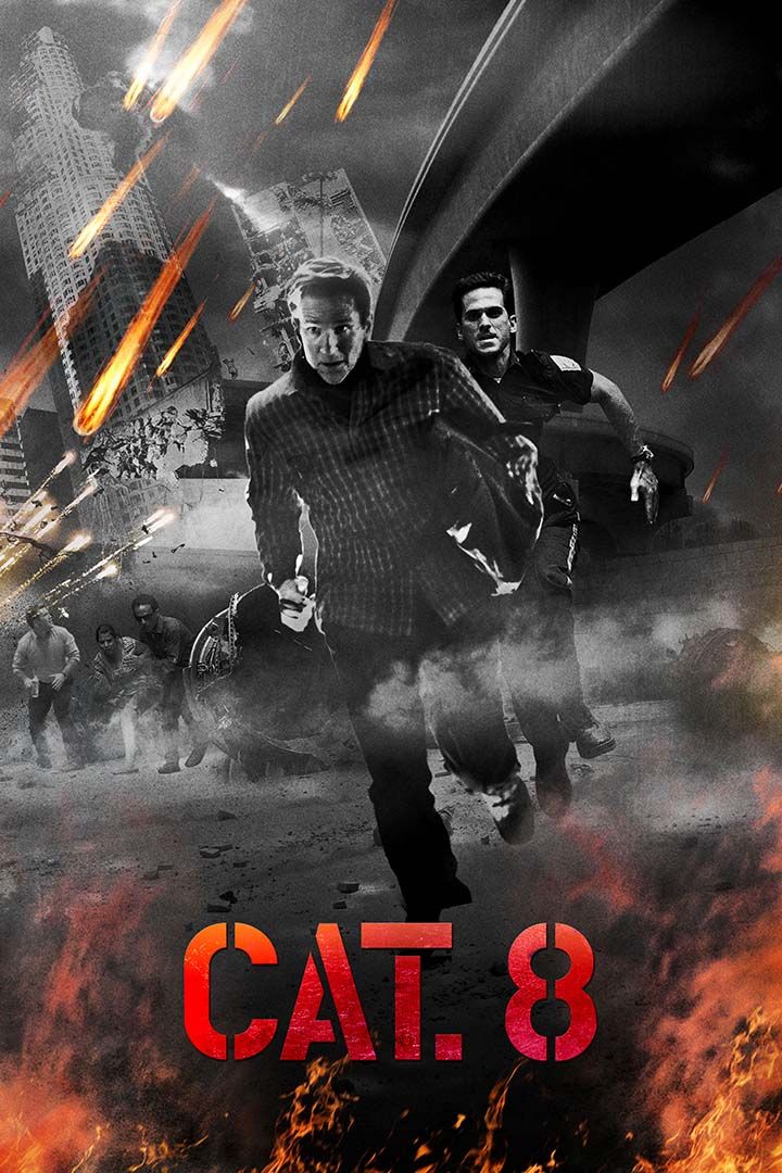 Cat. 8 poster