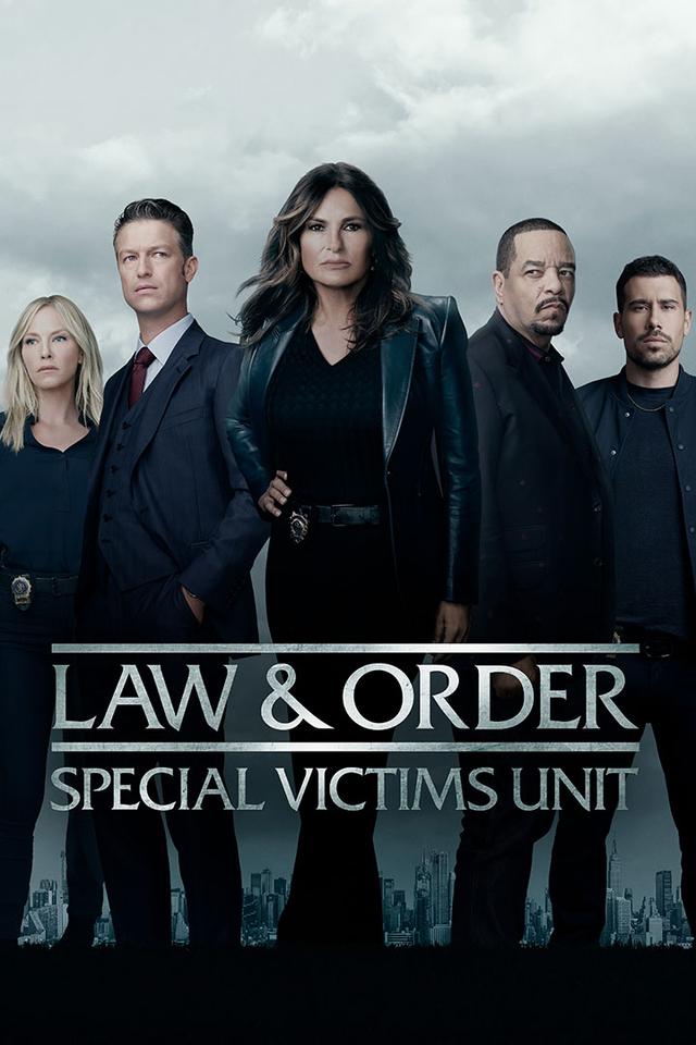Law & Order: Special Victims Unit poster
