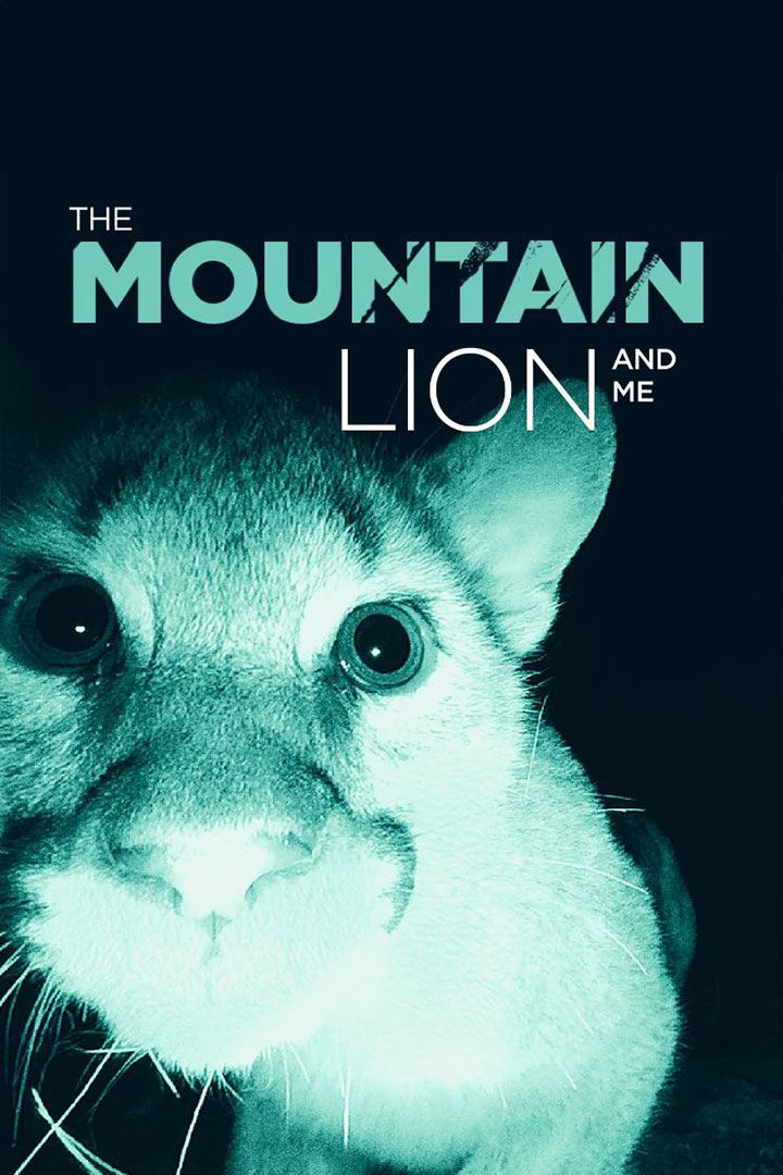 The Mountain Lion and Me poster