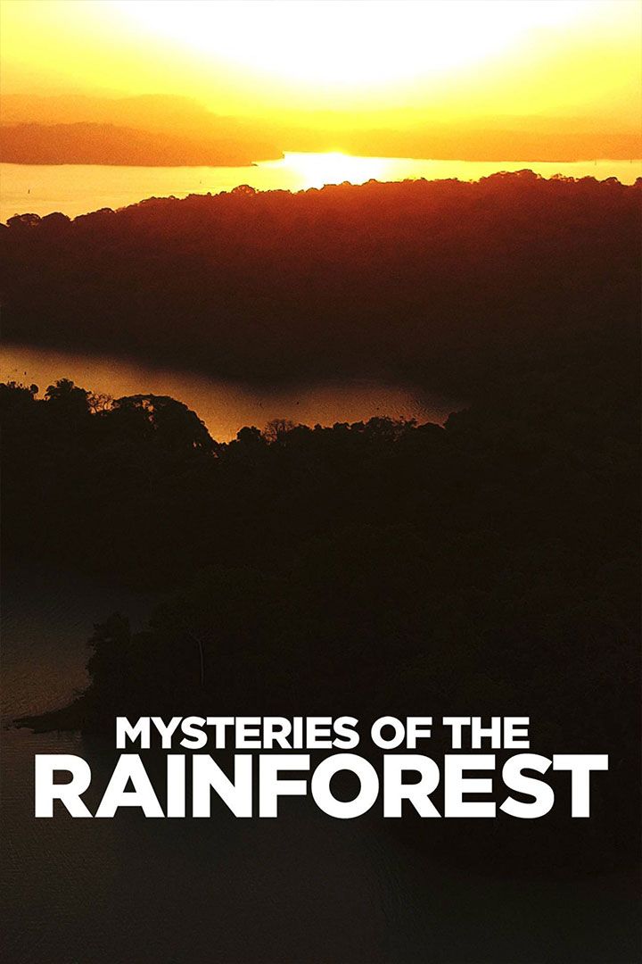 Mysteries of the Rainforest poster