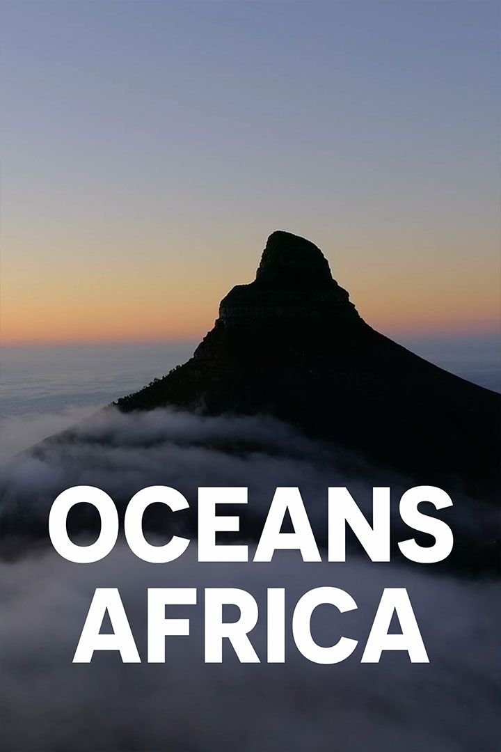 Oceans Africa poster