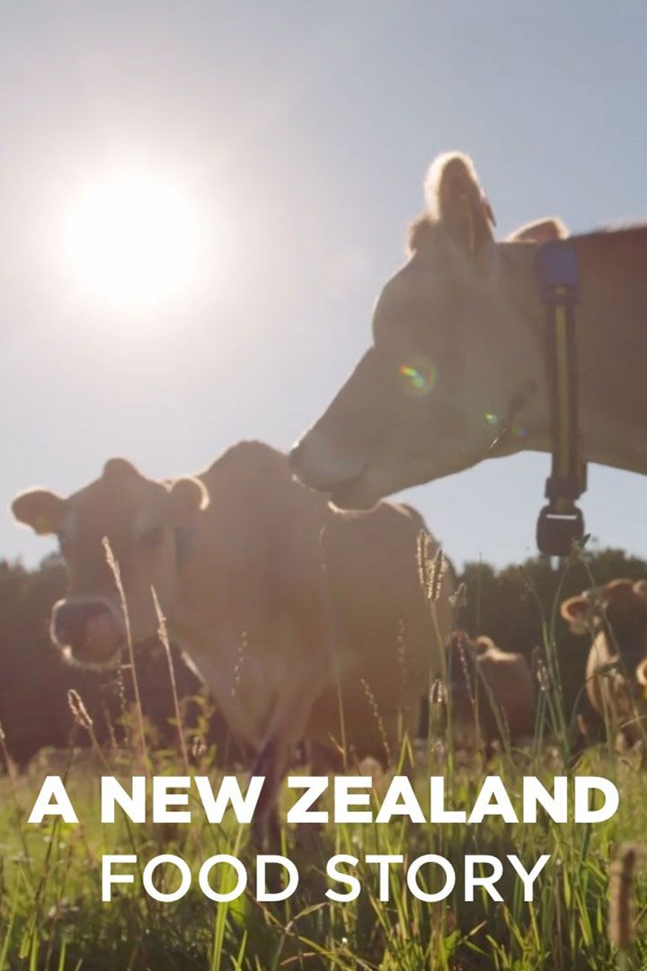 A New Zealand Food Story poster