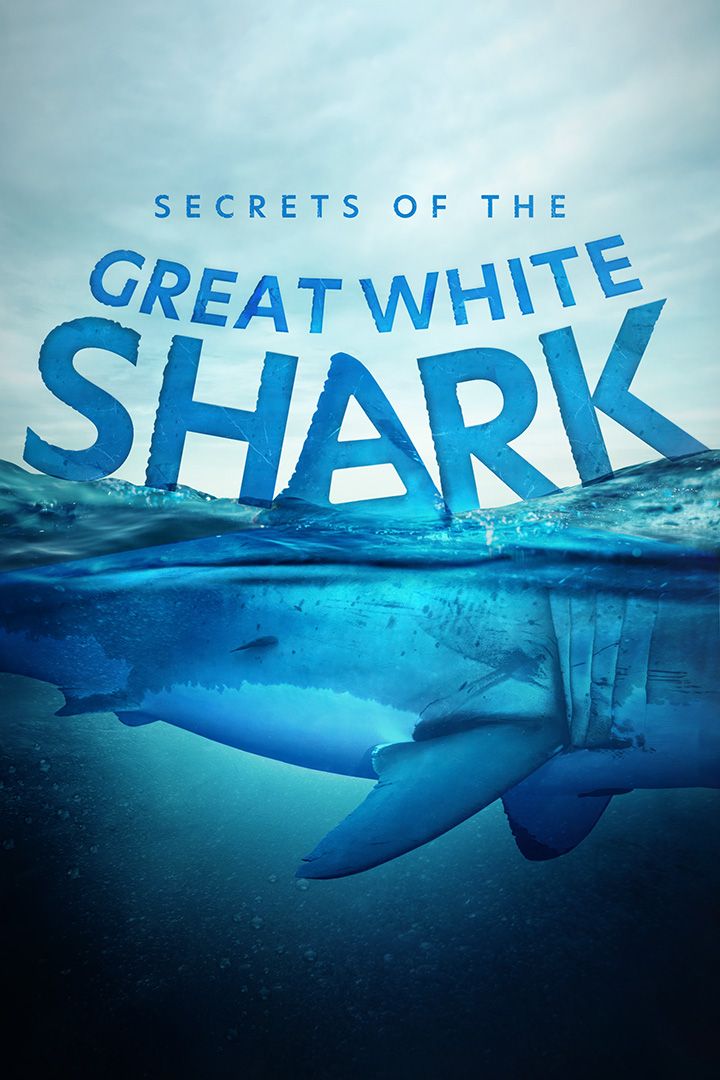 Secrets of the Great White Shark poster