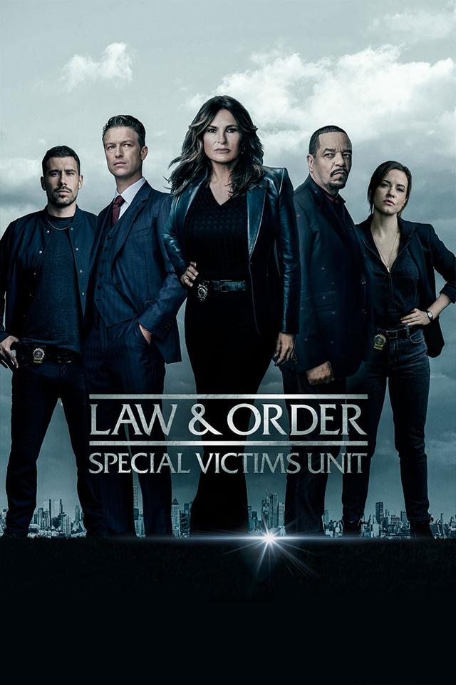 Law & Order: Special Victims Unit poster
