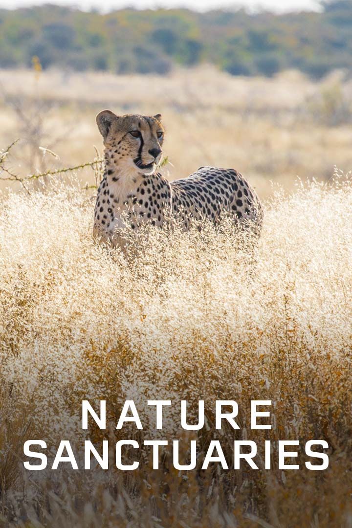 Nature Sanctuaries poster