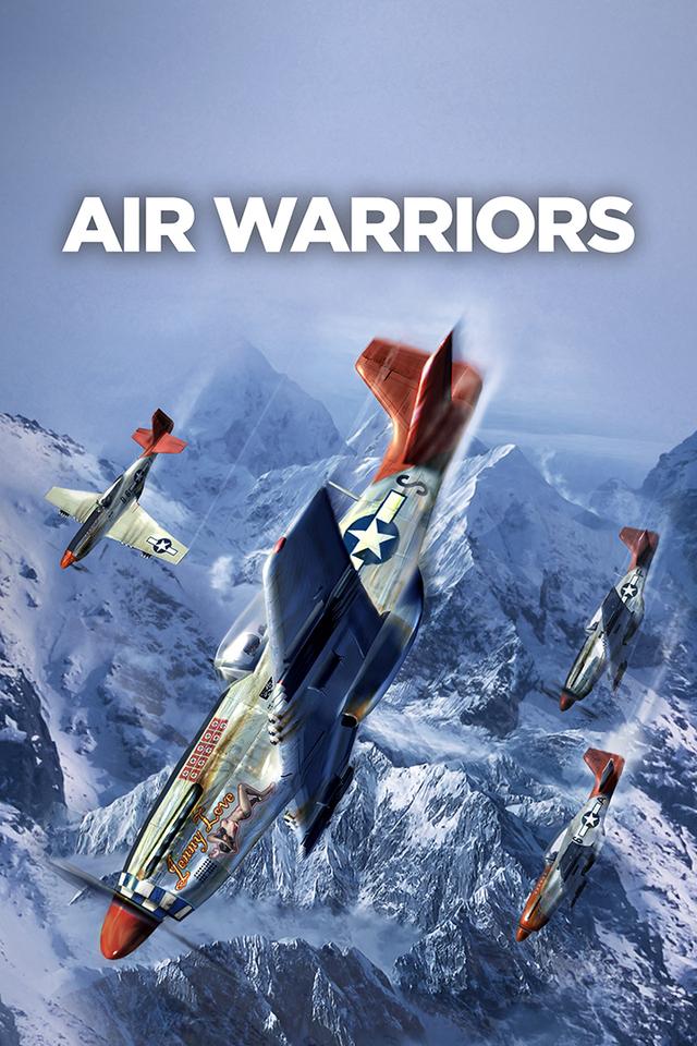 Air Warriors poster