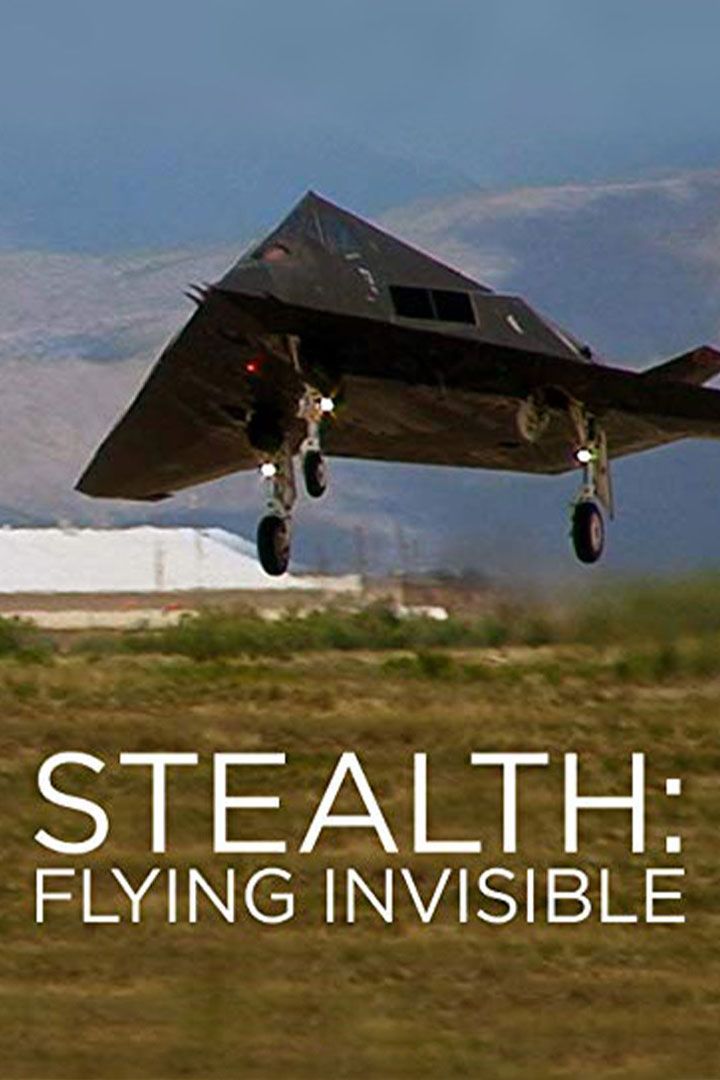 Stealth: Flying Invisible poster