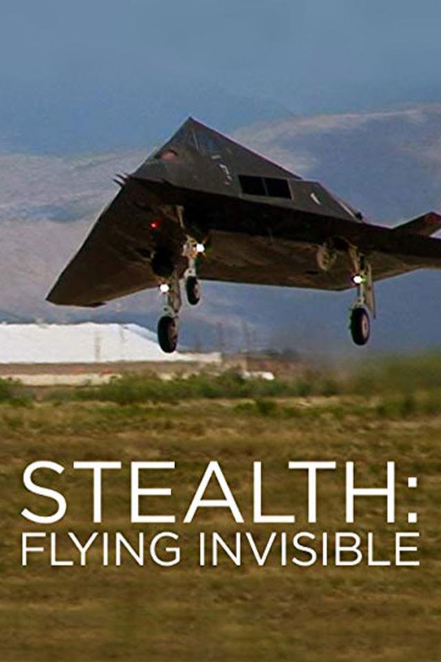Stealth: Flying Invisible poster