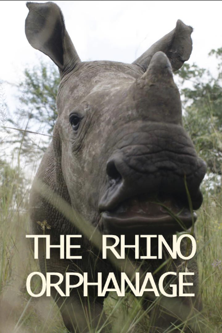 The Rhino Orphanage poster