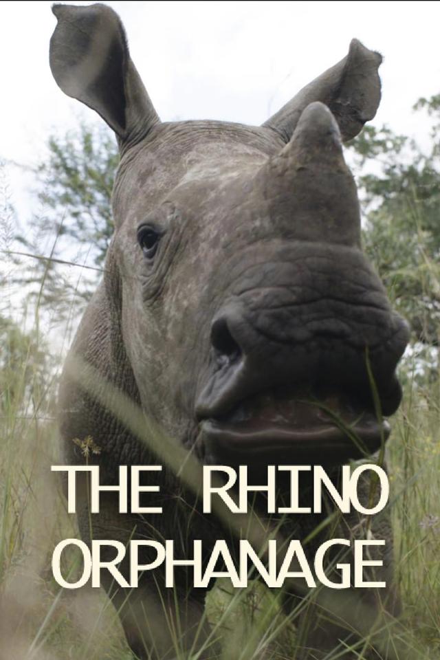 The Rhino Orphanage poster