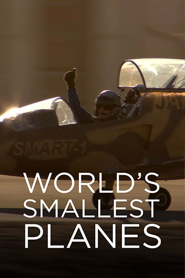 World's Smallest Planes poster