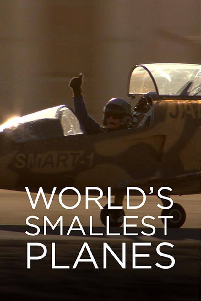 World's Smallest Planes poster