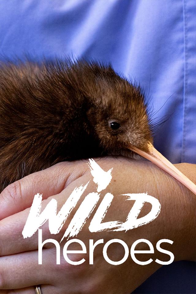 Wild Heroes
