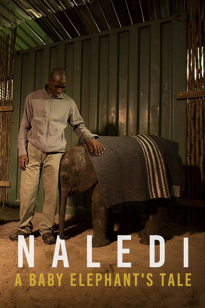 Naledi: A Baby Elephant's Tale poster