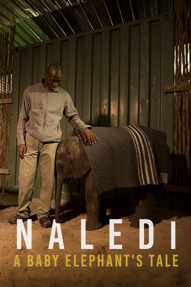 Naledi: A Baby Elephant's Tale poster
