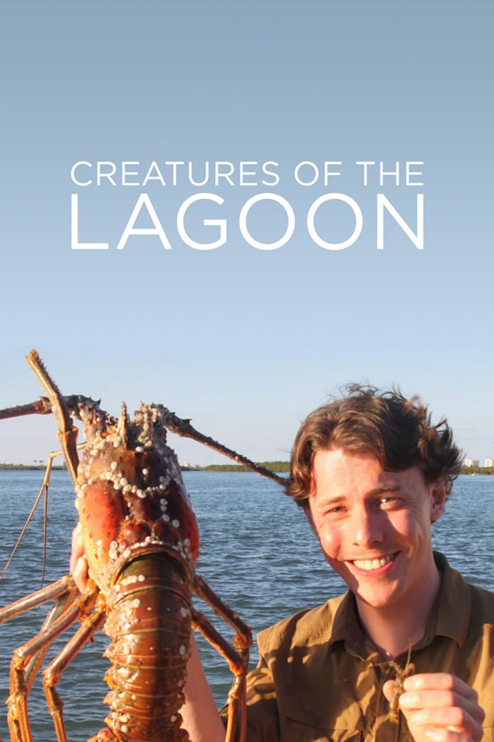 Creatures of the Lagoon poster