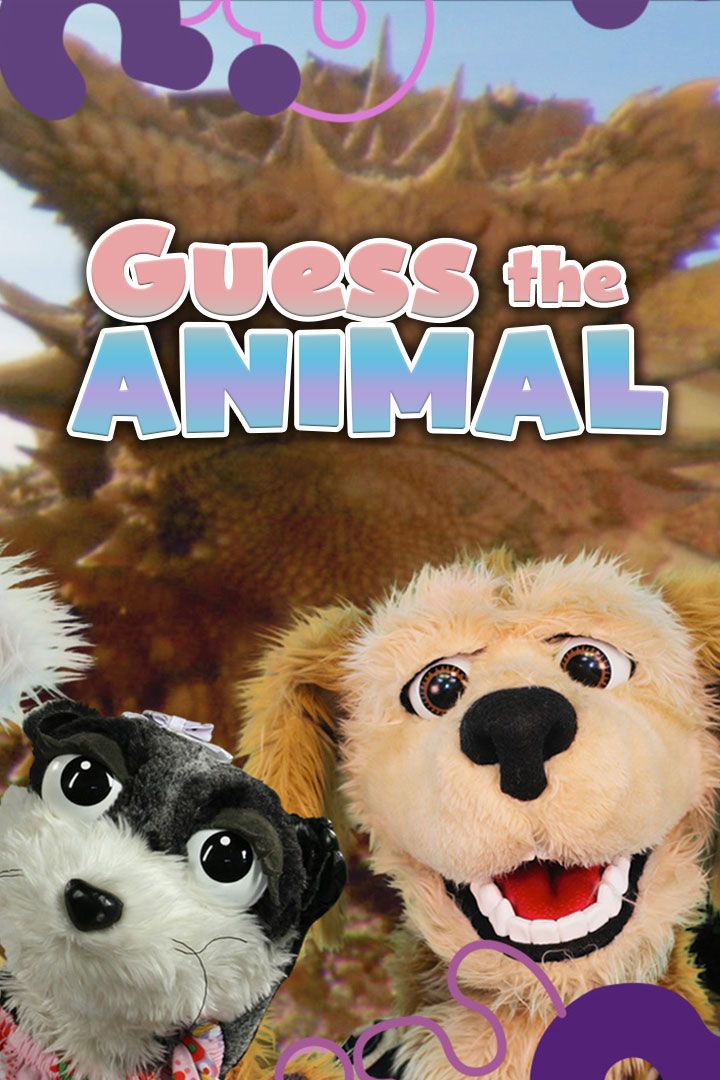 Guess the Animal poster