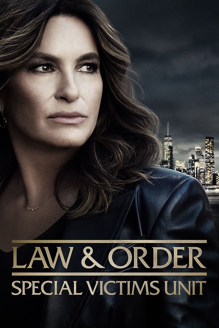 Law & Order: Special Victims Unit poster