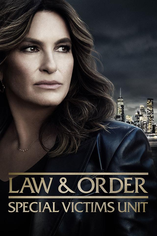 Law & Order: Special Victims Unit poster