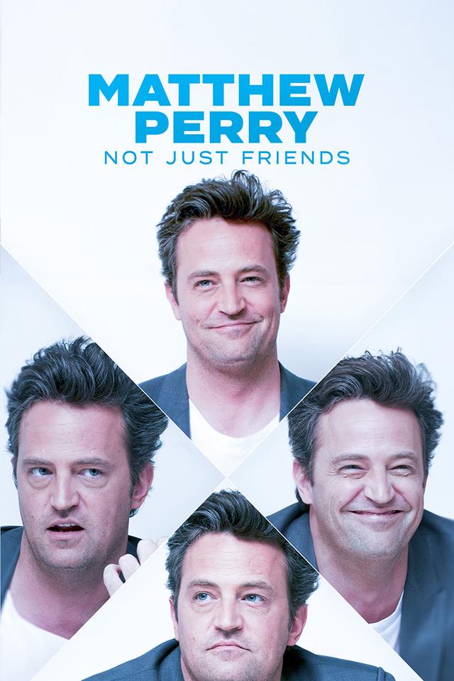 Matthew Perry: Not Just Friends poster