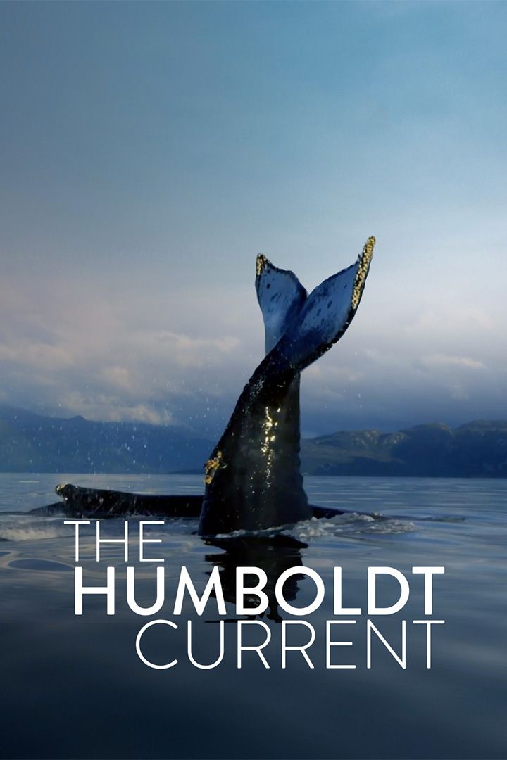 The Humboldt Current poster