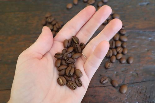 Holding beans Close-up photo of a hand holding coffee beans