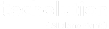 techolution logo