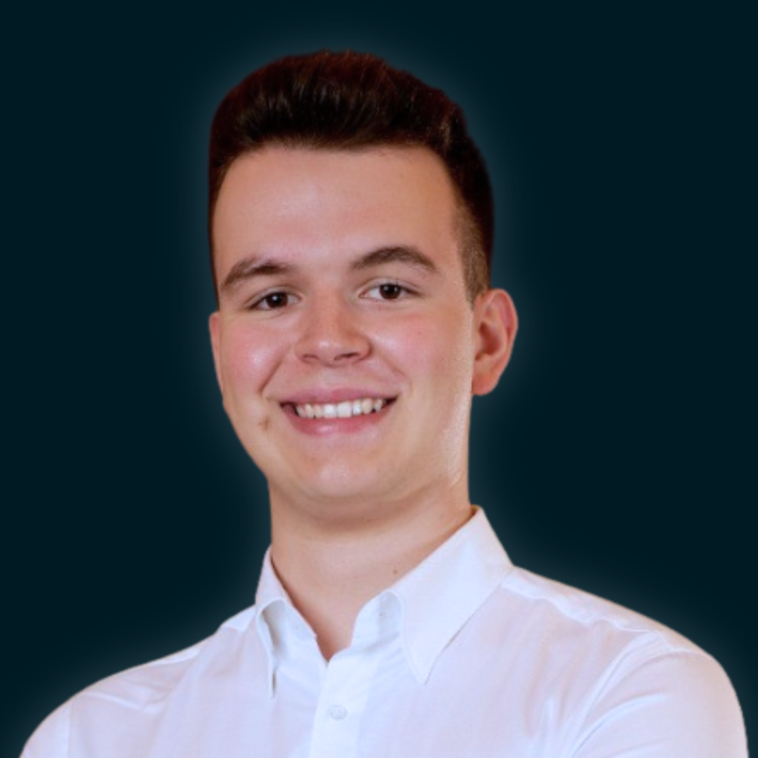 Portret van Mihnea Matea