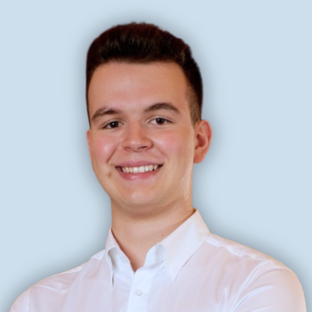 Portret van Mihnea Matea