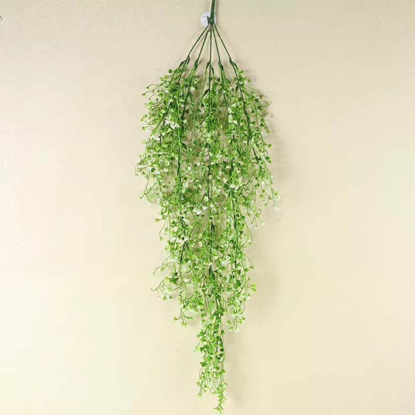 Hanging plants