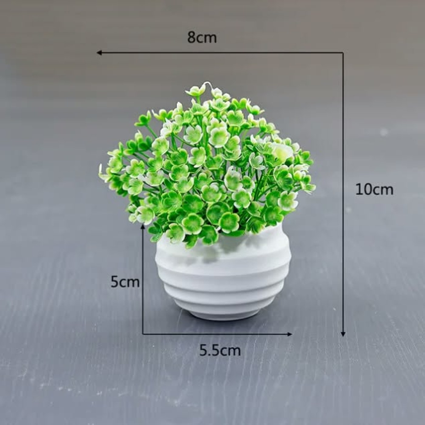 Daisy Mini Bathroom Bonsai - main view