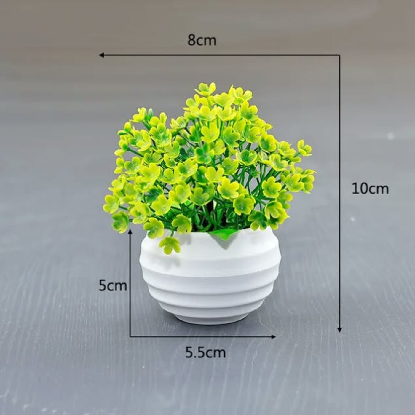 Daisy Mini Bathroom Bonsai view 3