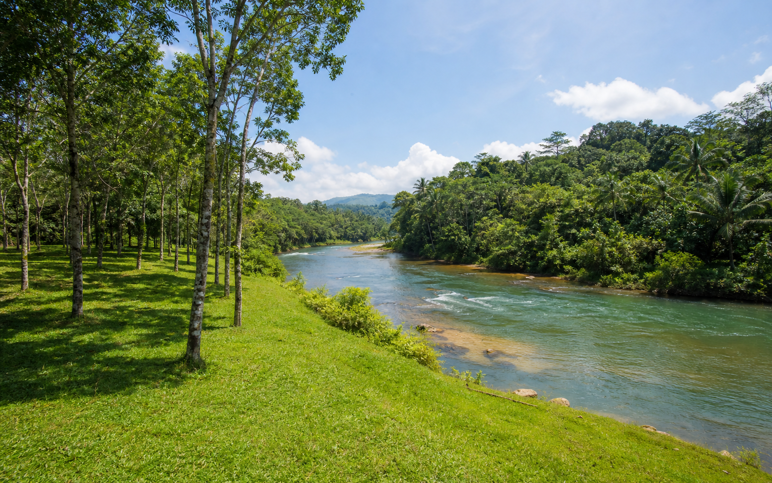 Riverfront Estate in Ratnapura