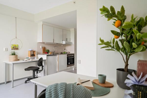 A cozy student apartment adorned with lively green plants, creating a bright atmosphere. It includes a workspace, dining table, and kitchen.
