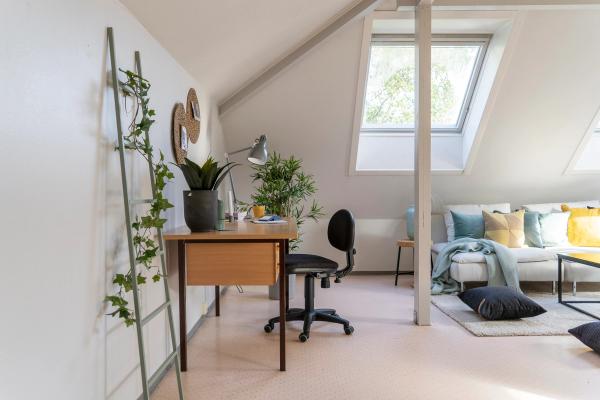 A cozy living room with a desk, chair, and ladder. Perfect for work or study.