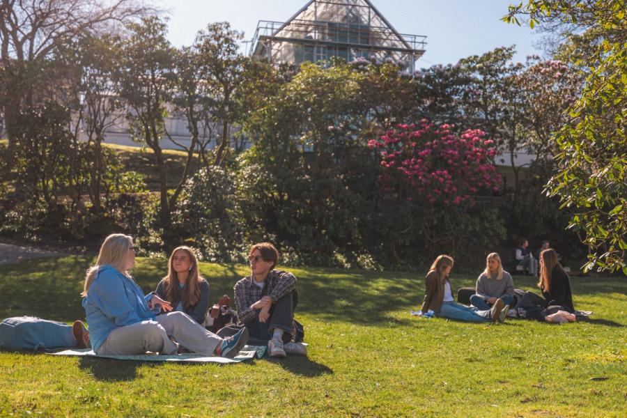 Bilder av studenter i en park 