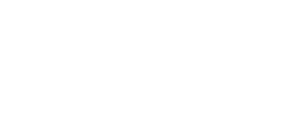 The Picture Production Company