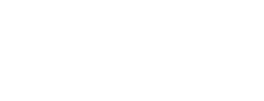 The Picture Production Company