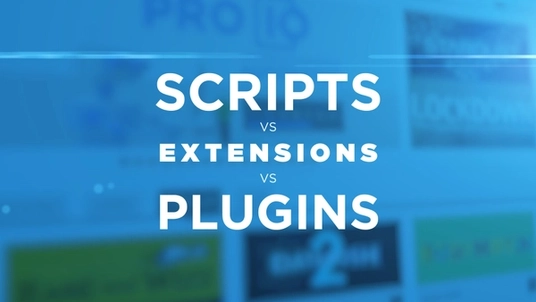 Scripts vs Extensions vs Plugins