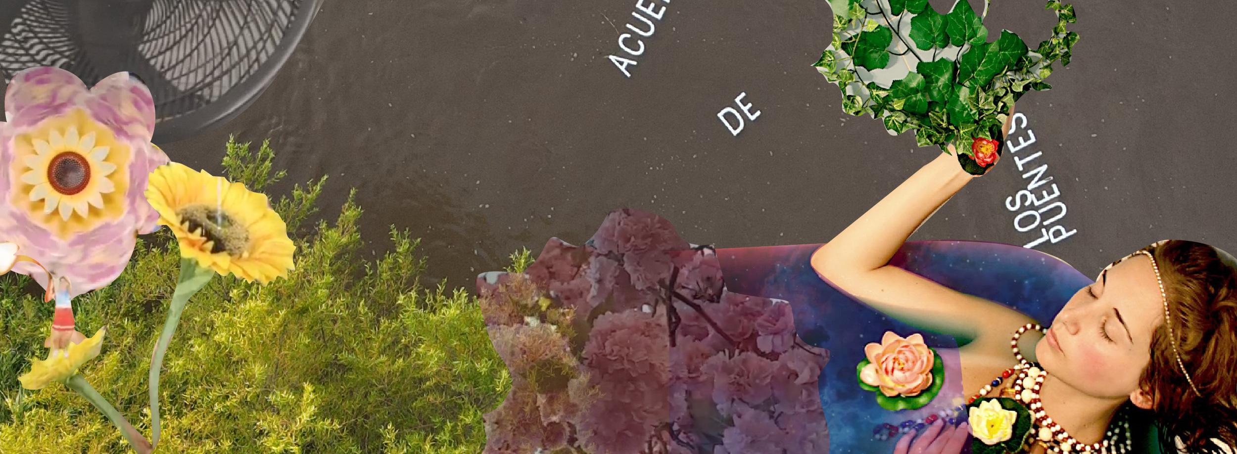 Visitantes VIII: "Textos en el agua".