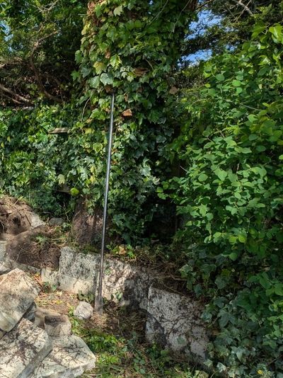 Photo of Garden Clearance