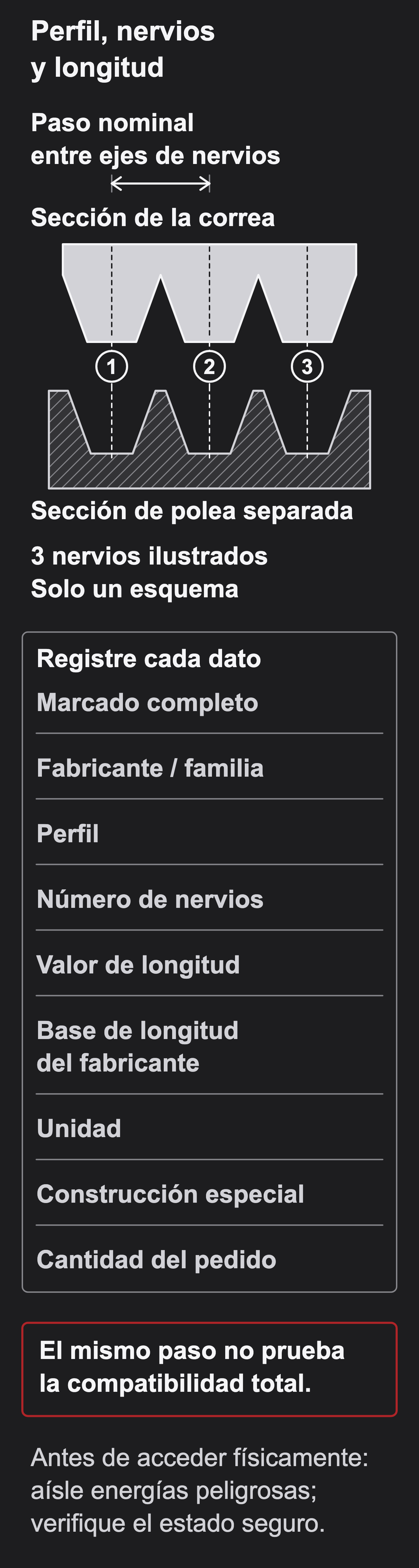 Esquema que distingue el paso entre nervios contiguos, su número y la designación completa con base de longitud; un paso coincidente no prueba compatibilidad de poleas.