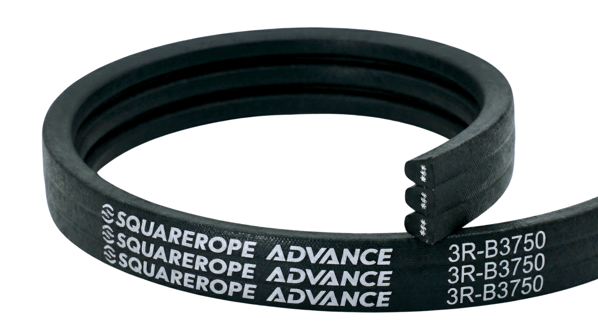 Banded Belt