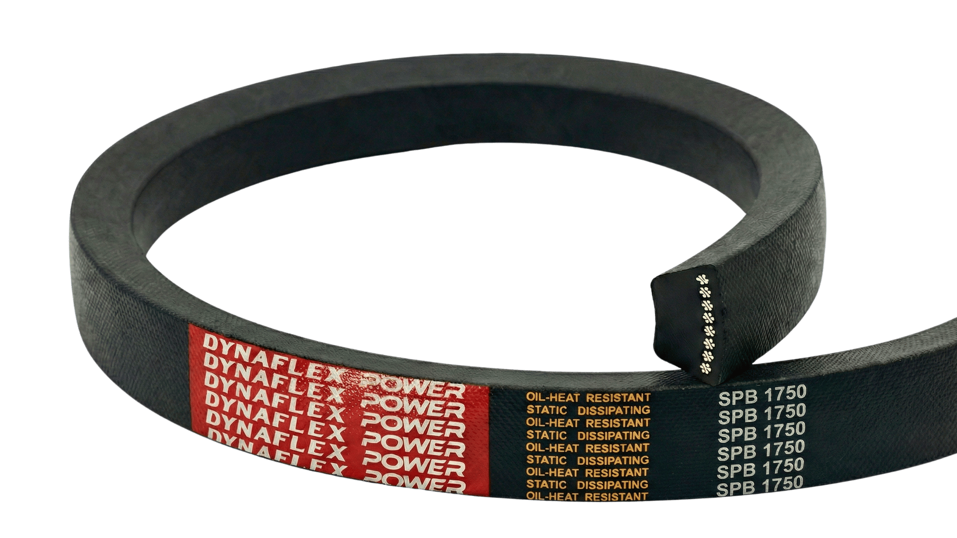 SP Power Belt