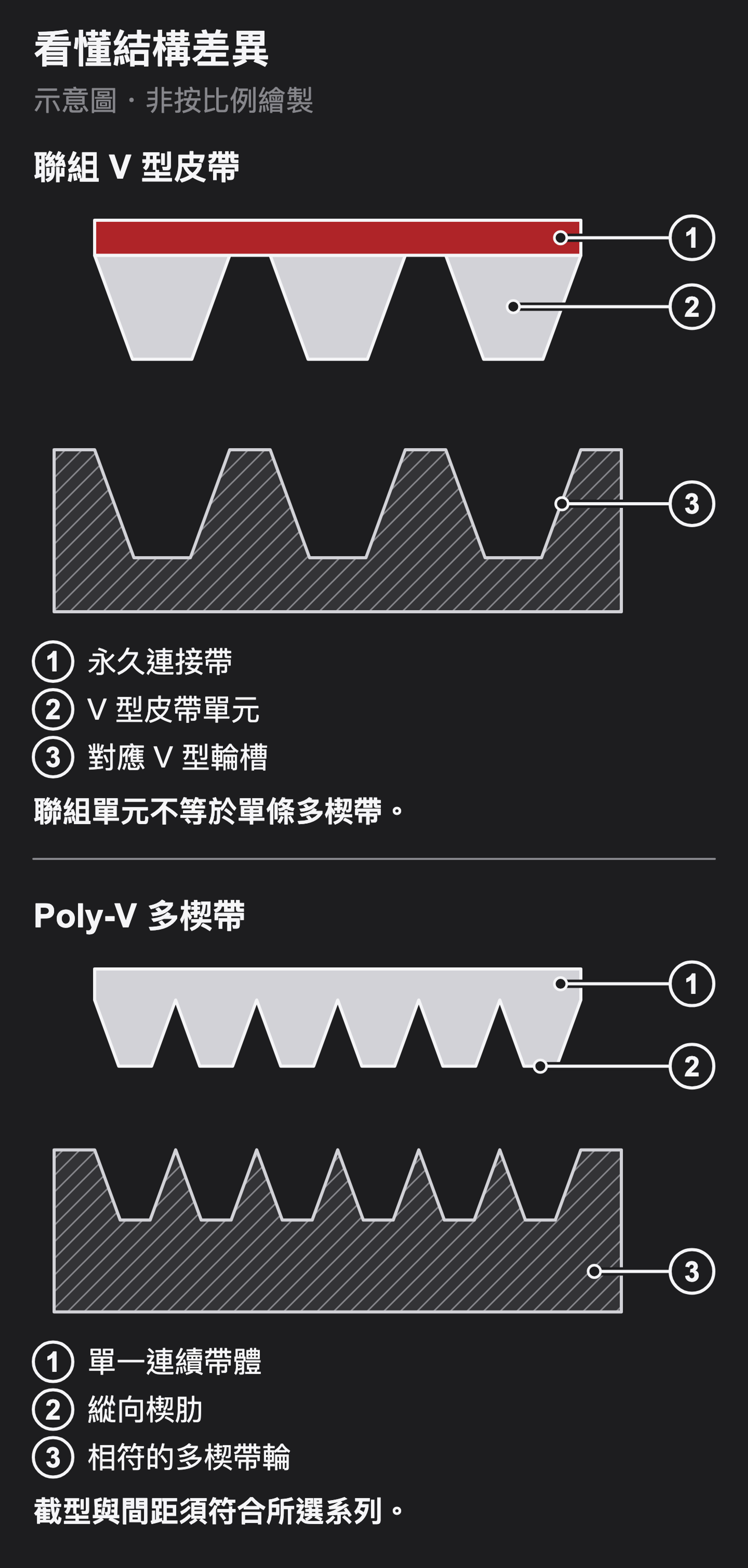 兩個分離截面：分別標示連接帶與 V 型單元、連續多楔帶體與縱向楔肋，搭配各自相符的帶輪。